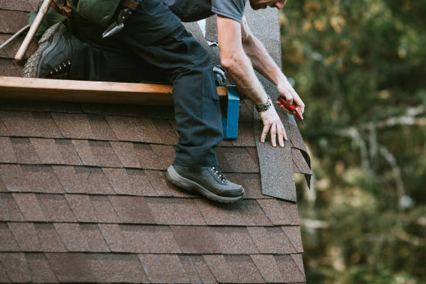 Best Roof Gutter Cleaning  in Murrells Inlet, SC